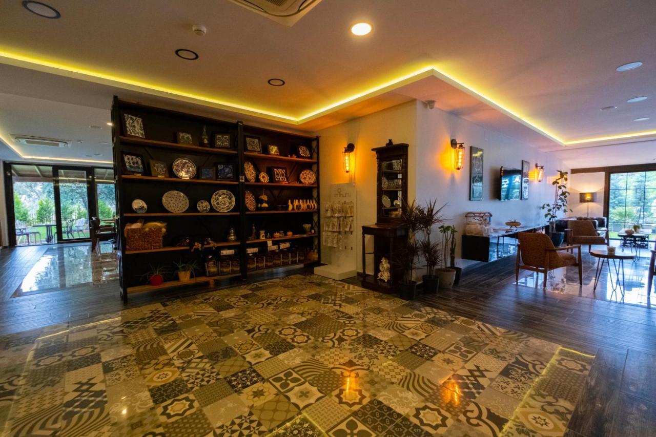 Eleia Hotel Iznik 부루사 외부 사진