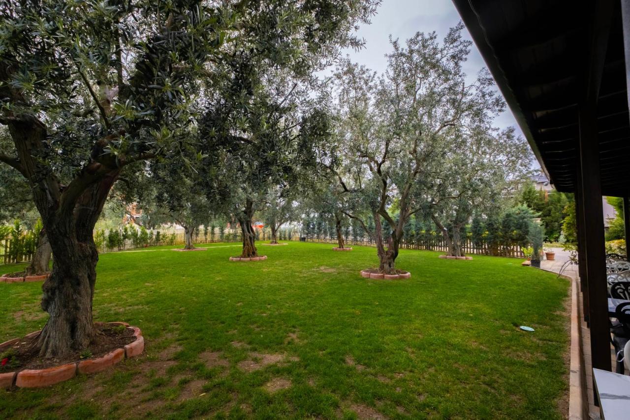 Eleia Hotel Iznik 부루사 외부 사진